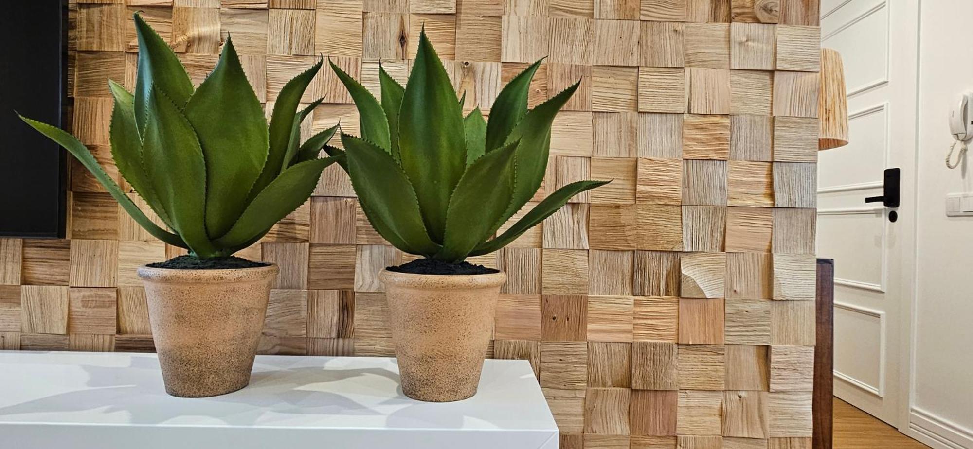 Casa "Avo Chupeta" - Nazare - Alojamento Local Extérieur photo